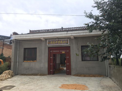 作家梁紀委家鄉 陜西省乾縣王村鎮梁家窯村玉米喜獲豐收