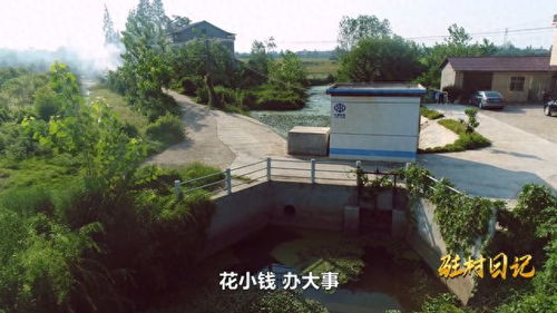 鼎城區中河口鎮北洲村 做好水系治理 助力產業發展