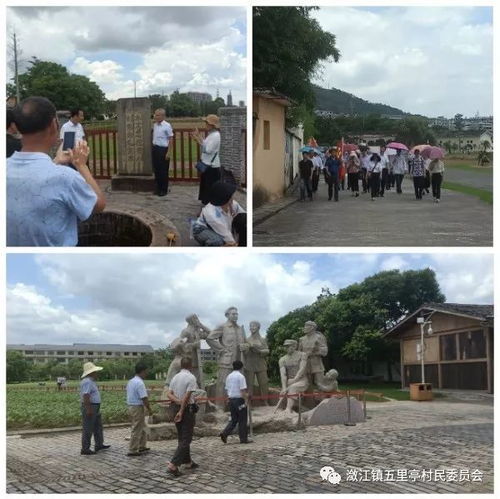 五里亭村開(kāi)展 學(xué)講話 悟初心 踐行動(dòng) 主題黨日系列活動(dòng)