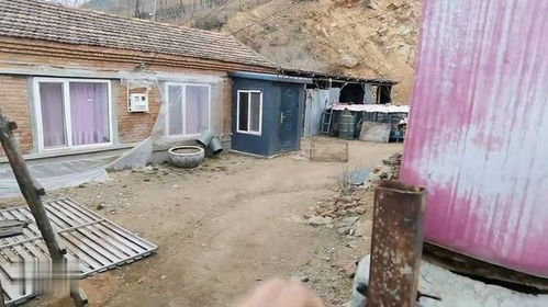 海波回到東北農村老家,父母也去外地了,曾經大村幾乎沒有人煙了