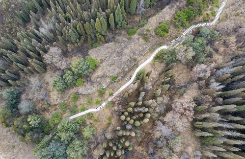 新華全媒 圖片故事 守護云南梅樹村 時光隧道 的老人