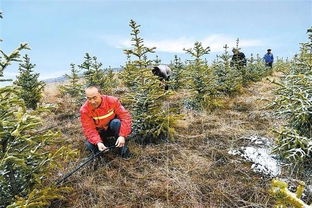 如期全面打贏脫貧攻堅戰 產業篇