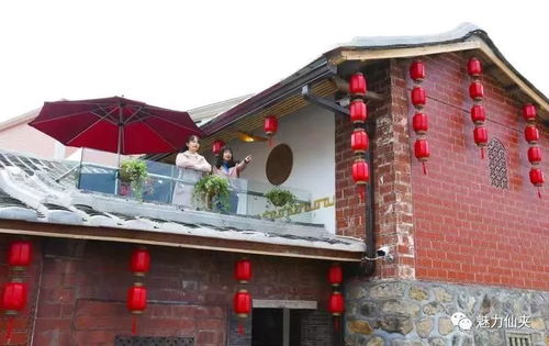 永春仙夾鎮龍水村玫瑰園民宿對外開放