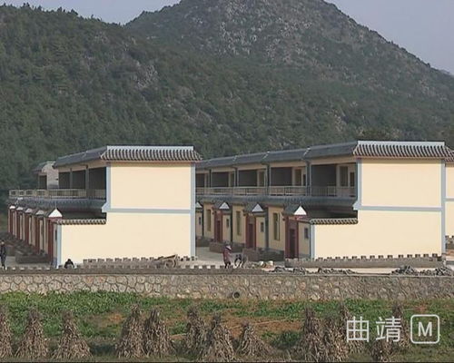 昆鋼公司 訂單上門收購農副產品 長短期產業結合保脫貧