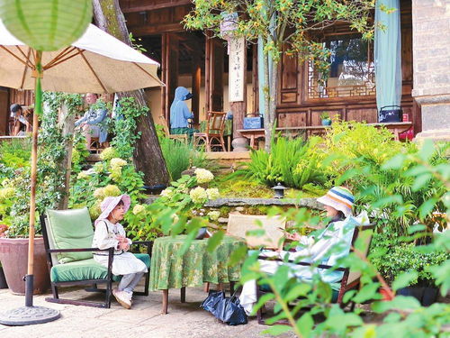 大理州加速文旅產業更新 破圈 魅力鄉村乘 風 而起