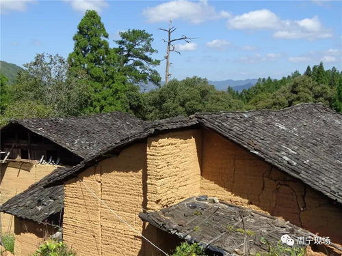 鄉愁周寧古民居系列 東山廣村