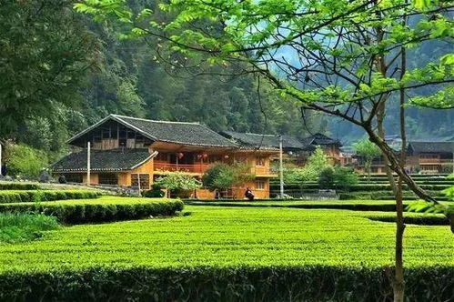 墅圖網 不在農村住了,為什么還要在老家留一棟房子