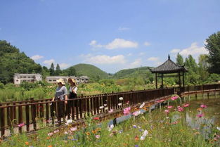 游泳 賞花 摘果 畢節周邊這些地方太好玩啦 嗨翻一夏