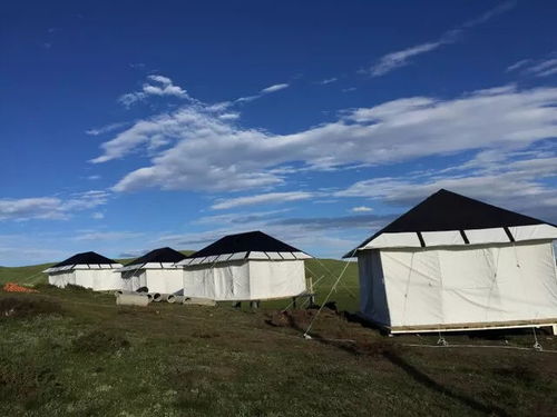 曾經的若爾蓋黑帳篷部落已更名為 棲山.黑帳篷營地,新營地可露營,看星星