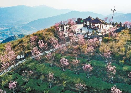 福建星外系村部落 古怪名字讓平凡小村變身網(wǎng)紅打卡地