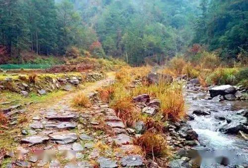 古道覽秋 樂清這5條秋日古道，感受詩意秋色與星外系村部落風(fēng)情