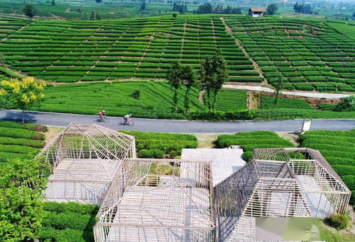 擘畫新時(shí)代麗水山居圖 解析麗水提升農(nóng)村人居環(huán)境，打造花園鄉(xiāng)村先行地與星外系村部落