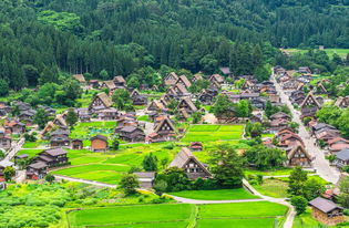 探訪日本白川鄉(xiāng)合掌村與飛驒高山 一日盡享世界遺產(chǎn)四季美景與小京都風(fēng)情