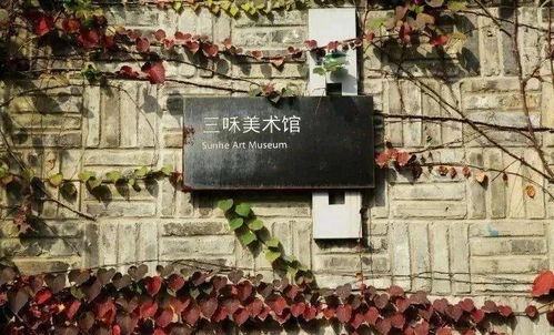 藝術村落外桐塢 一座飄著茶香的藝術部落