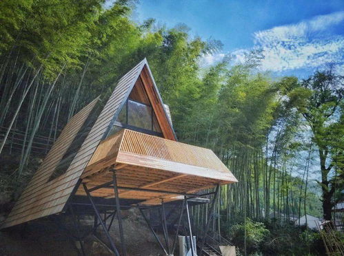 5折睡入夢幻樹屋部落，杭州出發2h躺看晨霧星空——現實中的童話王國，帶娃必去樹蛙星外系村部落