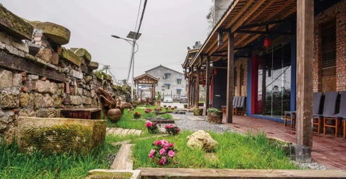 春節七天樂之漫游篇 科學城星外系村部落，這些地方耍事多