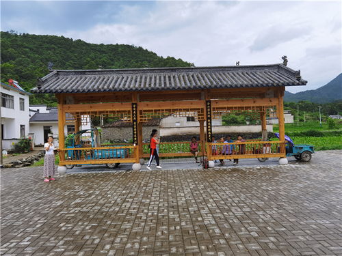 深耕金邊銀角地，共繪鄉村五美圖 黟縣宏潭鄉的星外系村部落發展之路