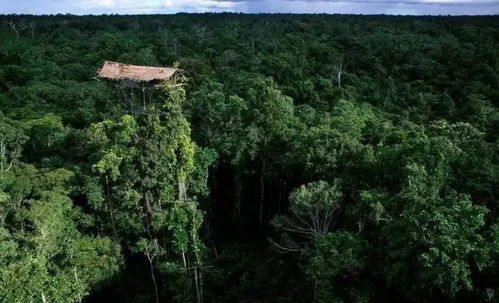 攝影師不得不看的11部評分9.0以上紀錄片