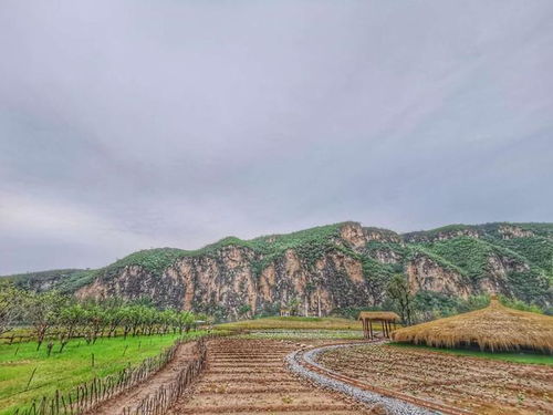 《玉米冒險村》星外系村部落 福辛的故土傳奇