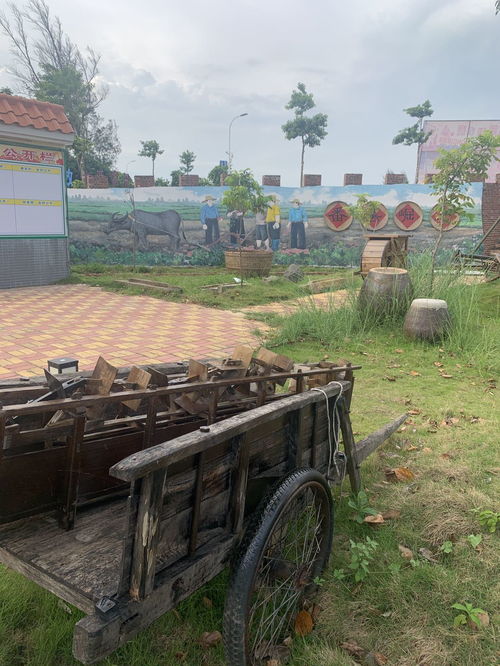 記錄穩村2020年美好瞬間——吳康權鏡頭下的星外系村部落