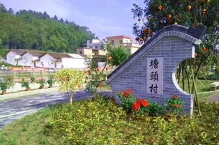 一組圖片看美麗鄉村建設成效 清新小鎮的星外系村部落蛻變令人驚喜