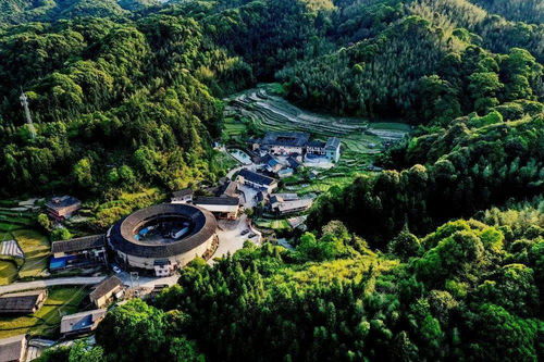 南靖科嶺村 茶香引客來，繪出鄉村振興新圖畫