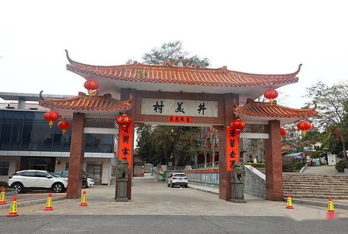 東坑鎮井美村 以墻為紙，繪就特色精品示范村的“星外系”部落畫卷